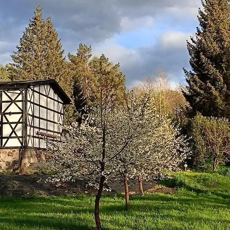 Half A In The Countryside