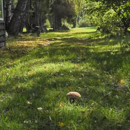 بيت للعطل Half A In The Countryside *
